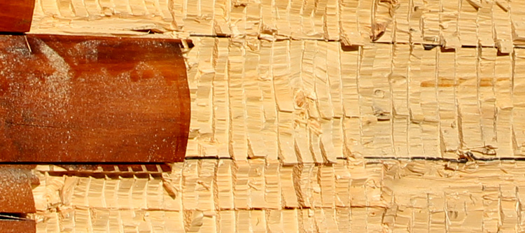 Log Home Face Restoration  Powhatan County, Virginia
