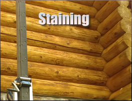  Powhatan County, Virginia Log Home Staining